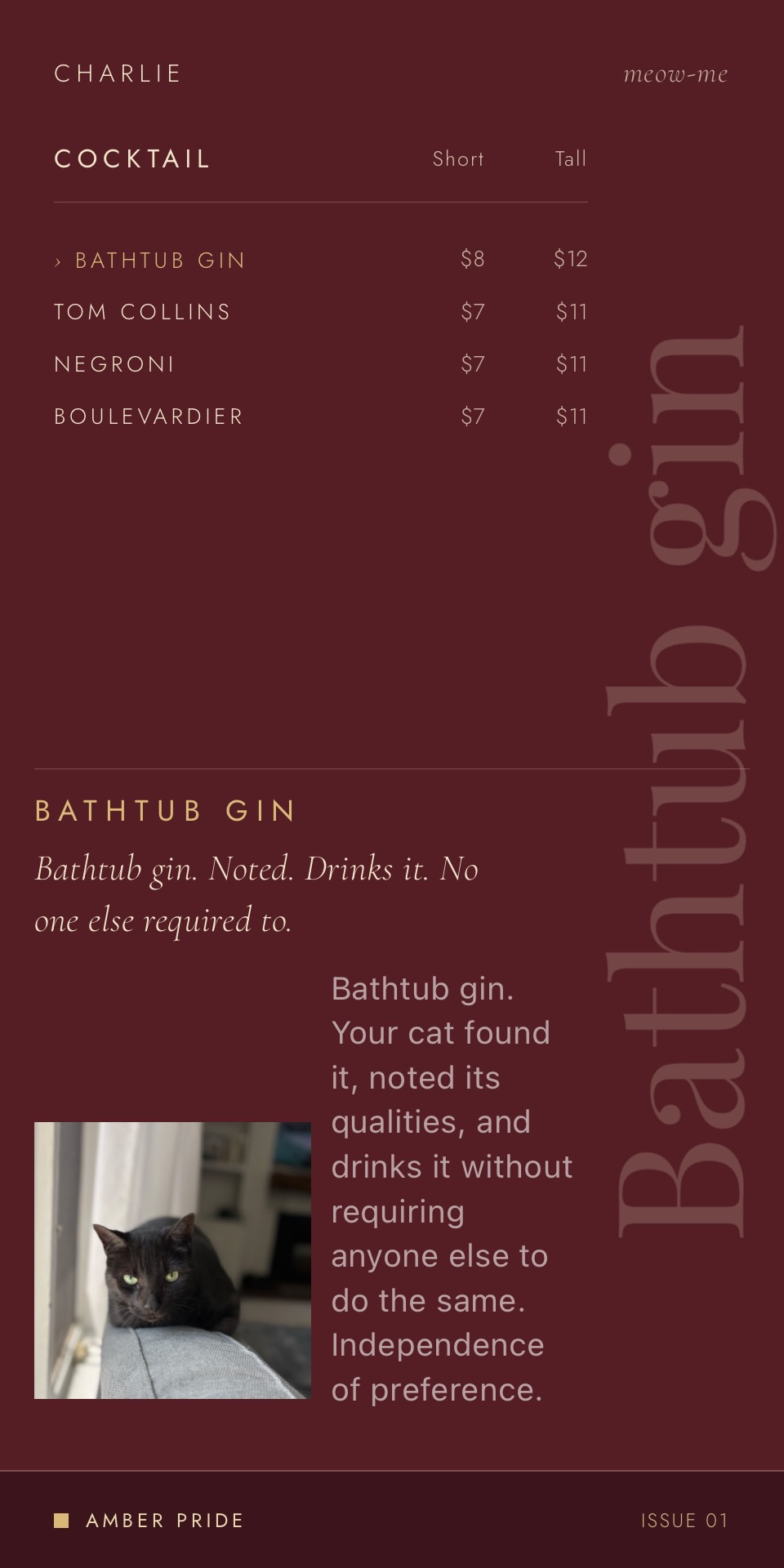 Bathtub Gin cocktail card
