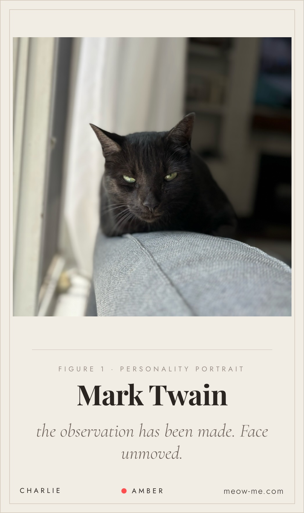 Mark Twain personality card