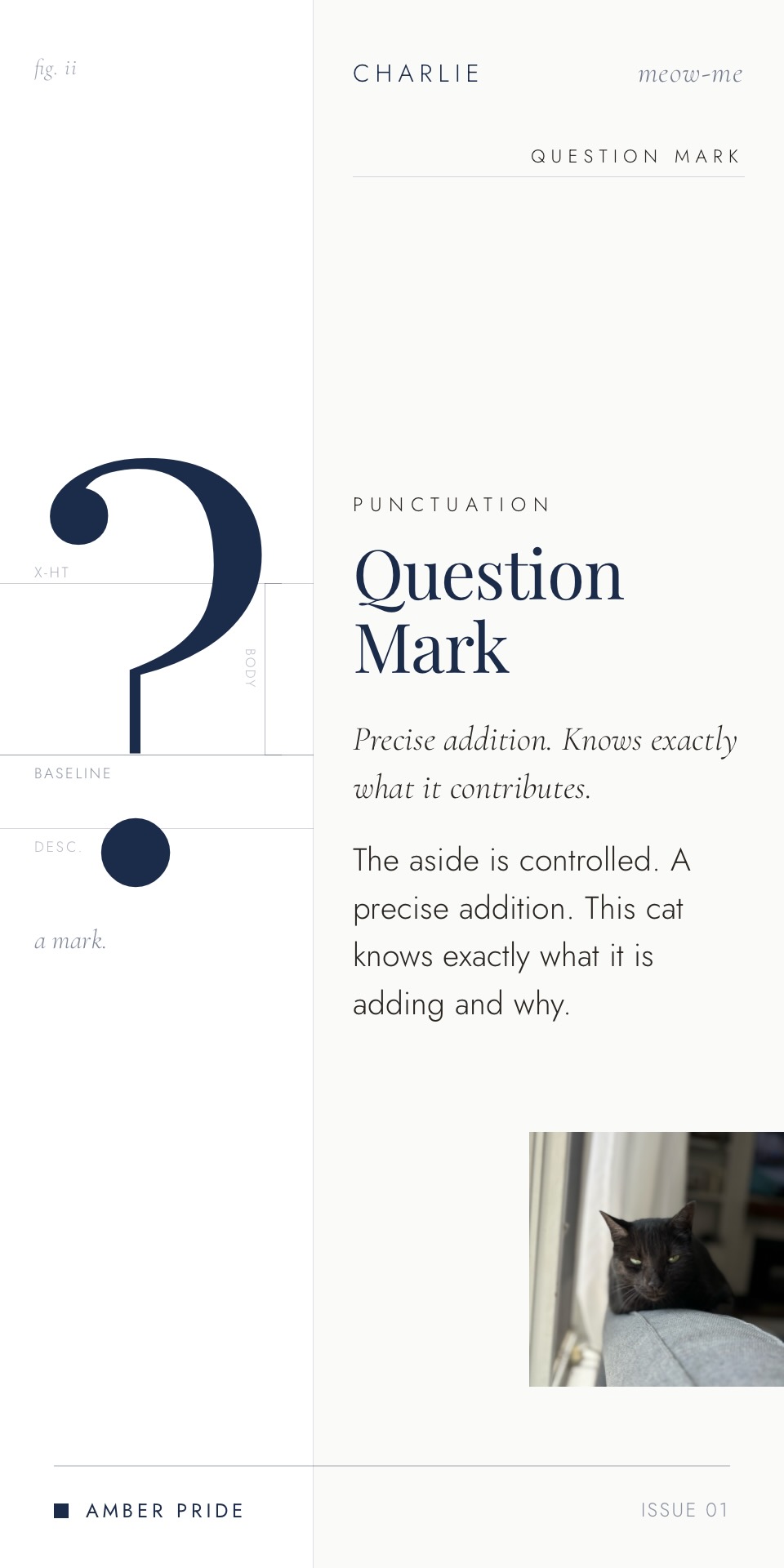Question Mark punctuation card